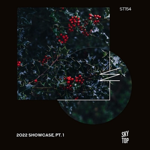 VA - 2022 Showcase Pt 1 [ST154]
